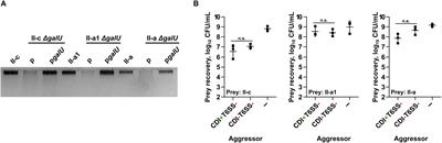 Capsule Protects Acinetobacter baumannii From Inter-Bacterial Competition Mediated by CdiA Toxin